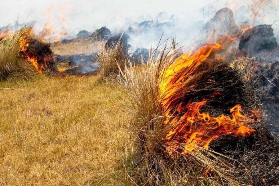 Se registran condiciones peligrosas para incendios en el norte y oeste del país