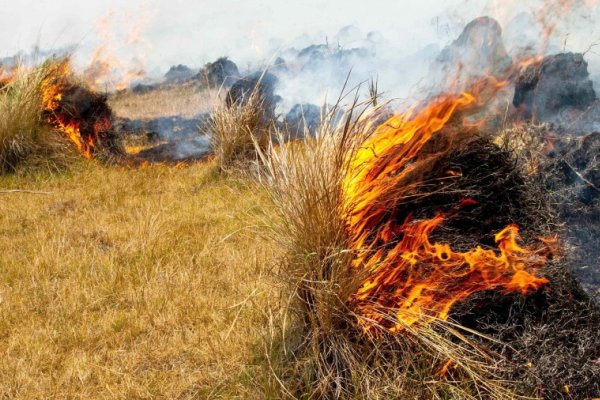 Se registran condiciones peligrosas para incendios en el norte y oeste del país