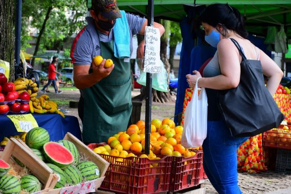 Ferias de la ciudad: Hoy en Plazoleta Los Amigos y Plaza Libertad