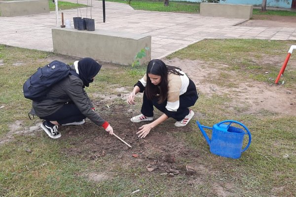 Sumar árboles a la ciudad, una propuesta para seguir promoviendo la Educación Ambiental desde la UNNE