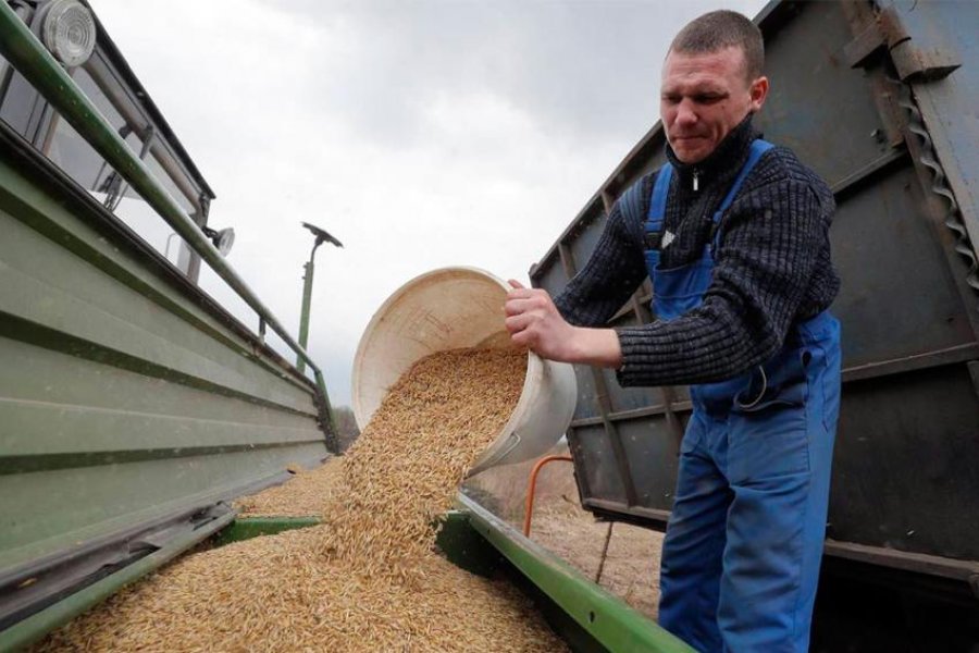 Rusia y Ucrania discuten cómo reanudar la exportación de cereales bloqueados por la guerra