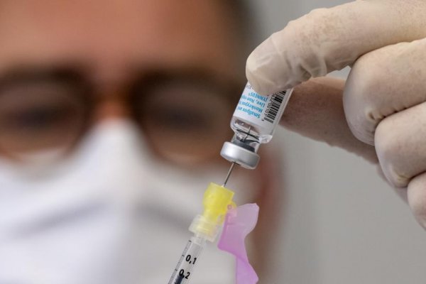 Autorizaron el uso de la vacuna Imvanex contra la viruela del mono