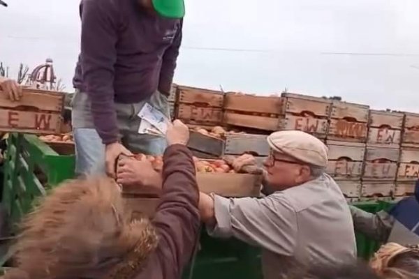 Corrientes: Tomateros de Goya remataron toda su producción en pocas horas