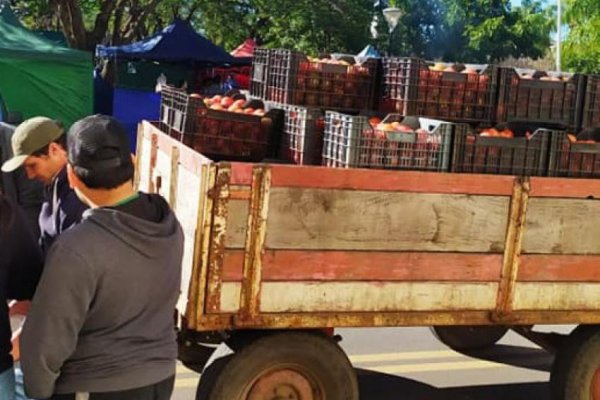 Corrientes y el golpe de la inflación: productores remataron 7 toneladas de tomate