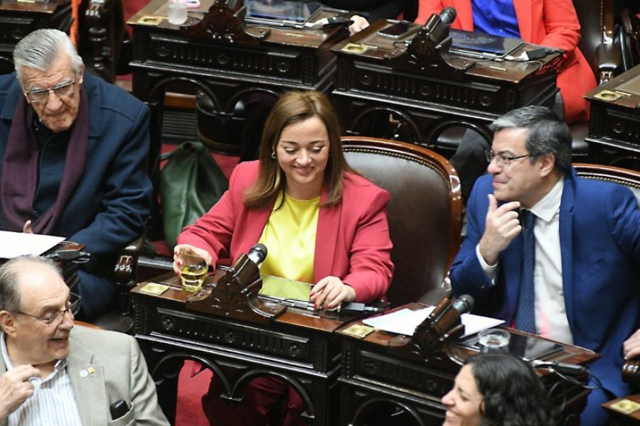 Cecilia Moreau se convirtió en la presidenta de la Cámara de Diputados de la Nación