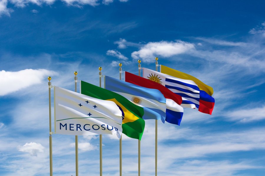 El Mercosur actual no es más que una unión aduanera imperfecta