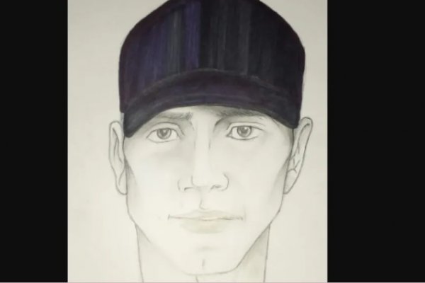 Divulgan un identikit del ladrón que se hizo pasar por policía y robó una suma millonaria