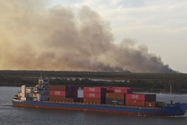 Siguen los incendios en el delta del Paraná y el Gobierno nacional amplía su denuncia