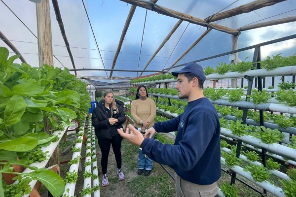 Desarrollo Social visita huerta de jóvenes emprendedores