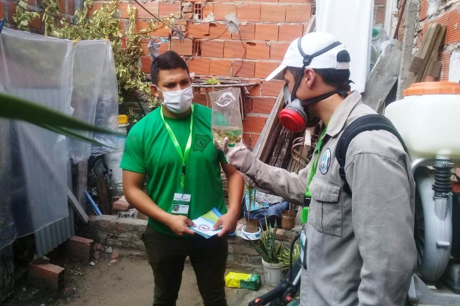 Detectaron un caso de Dengue en Corrientes y realizaron bloqueo vectorial