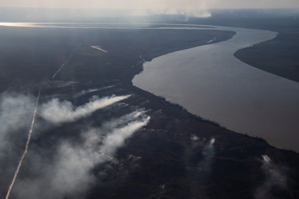 Continúan detenidos tres hombres por intentar prender fuego en las islas del Paraná