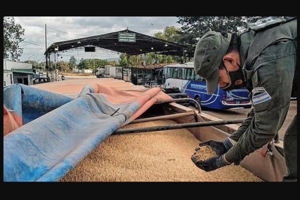 Camión con soja que salió de Entre Ríos fue detectado en Corrientes con facturas falsas