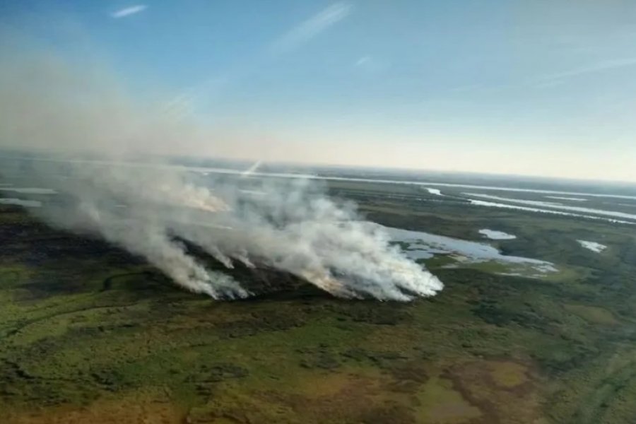 Delta del Paraná: detectaron que en 10 puntos se iniciaron incendios 59 veces