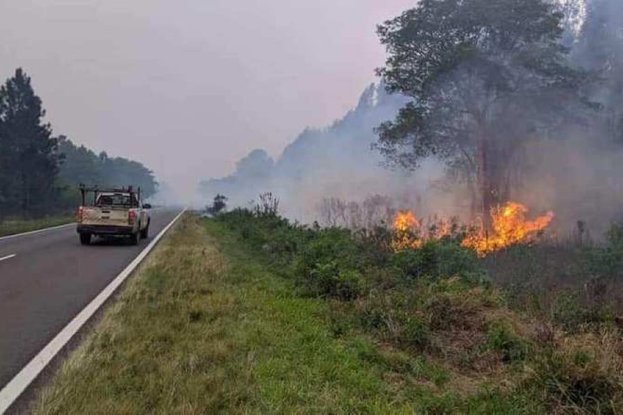 Corrientes: incendios ya afectaron 300 hectáreas y hay doce focos