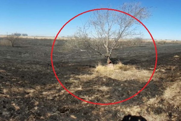 La gruta del Gauchito Gil que sobrevivió a un voraz incendio en Córdoba