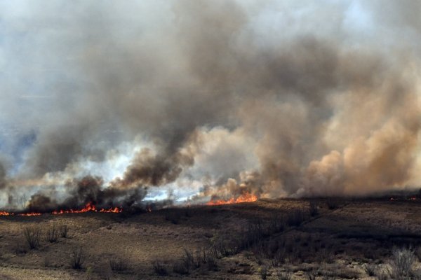 Incendios en el Delta del Paraná: hay focos en Rosario-Victoria, San Pedro y Zárate