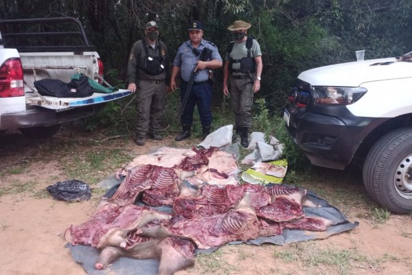 La Policía secuestró más de 700 kilos de carpinchos faenados