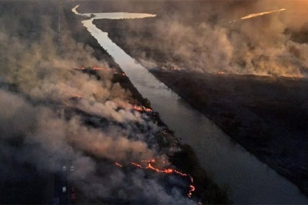 Detuvieron a tres personas acusadas de provocar incendios en el Delta