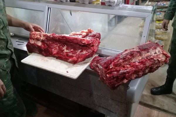 Incautaron 48 kilos de carne vacuna no aptos para el consumo humano