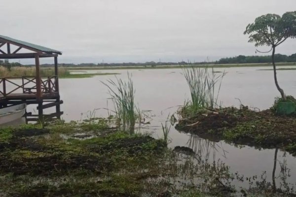 Identifican el impacto del desarrollo inmobiliario sobre áreas próximas a la reserva natural Laguna Brava