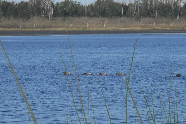 Investigan las causas y circunstancias, tras el hallazgo del cuerpo sin vida de un hombre en Laguna Soto