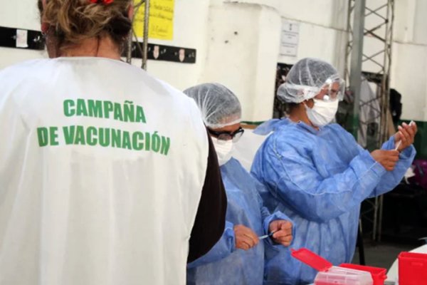 Cronograma de las vacunas contra el coronavirus y Gripe