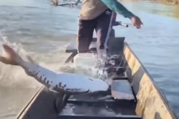 Corrientes: denuncian pesca ilegal en el Río Paraná y falta total de controles