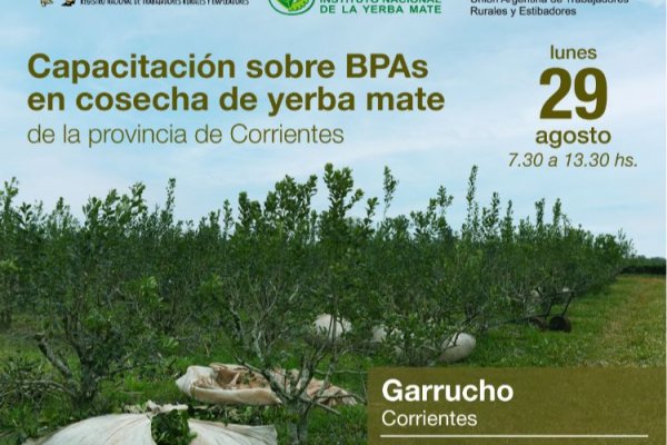 Capacitan en buenas prácticas al sector yerbatero