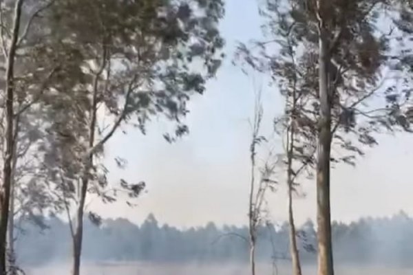 Corrientes: se registraron incendios intencionales en zonas rurales del interior provincial