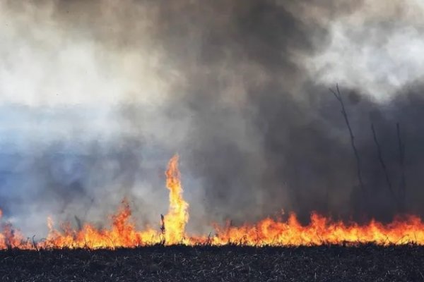 Amazonia brasileña registró 33.316 focos de incendio en agosto
