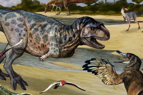 Descubrieron una nueva especie de dinosaurio depredador en Neuquén