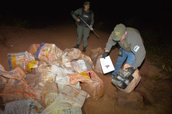 Gendarmes hallan más de media tonelada de marihuana oculta entre la vegetación