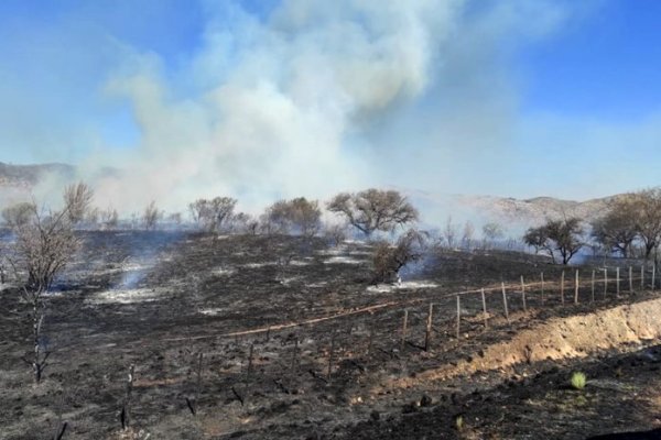 Bomberos combaten tres focos de incendios forestales en Córdoba