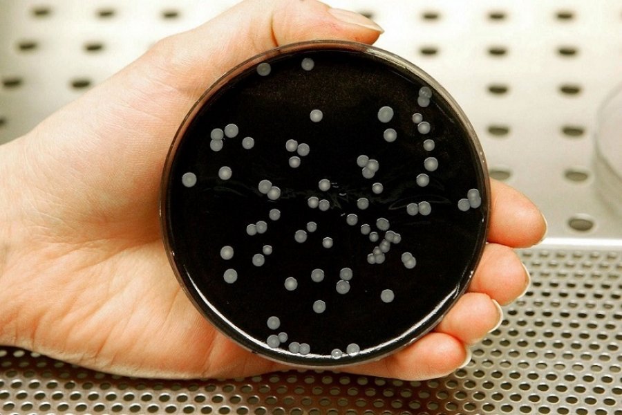 Legionella: hace casi una década la UNNE viene alertando sobre la necesidad de estudios epidemiológicos