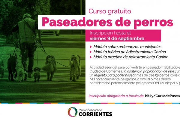 Lanzan curso gratuito para paseadores de perros