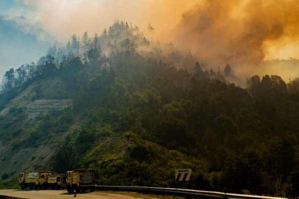 Fuego en Chubut: hay incendios en El Bolsón y Lago Puelo y está cortada la ruta 40