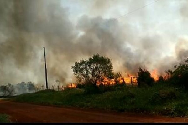 Nueve provincias registran focos activos de incendios forestales