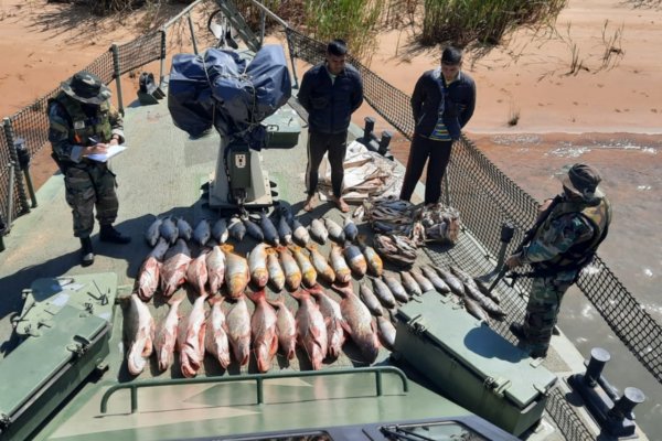 Prefectura secuestró 350 kilos de pescados en Corrientes