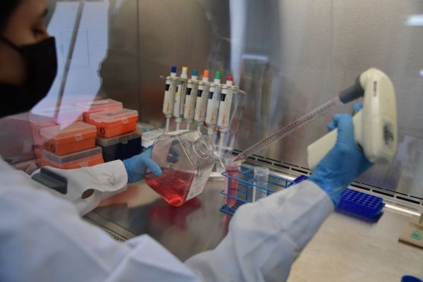 Científicos del Conicet investigan la cura del cáncer a través de una vacuna