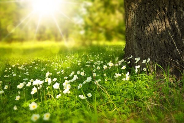 La primavera en Argentina no comienza este 21 de septiembre: cuándo empieza y por qué