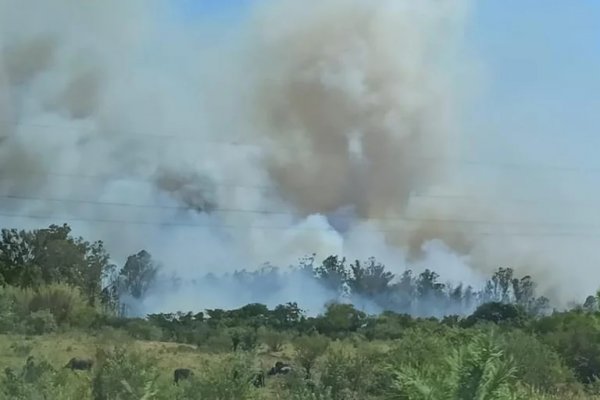 Corrientes: Ya se aplicaron multas de hasta $ 50.000 por iniciar quemas