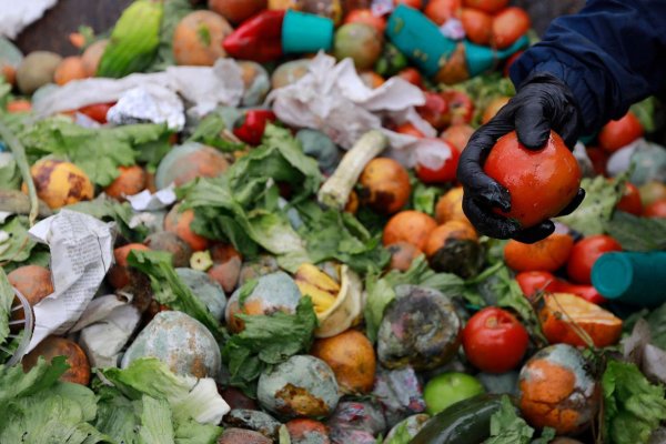 Pobreza alimentaria: el 40% de la comida que se produce en el mundo termina en la basura