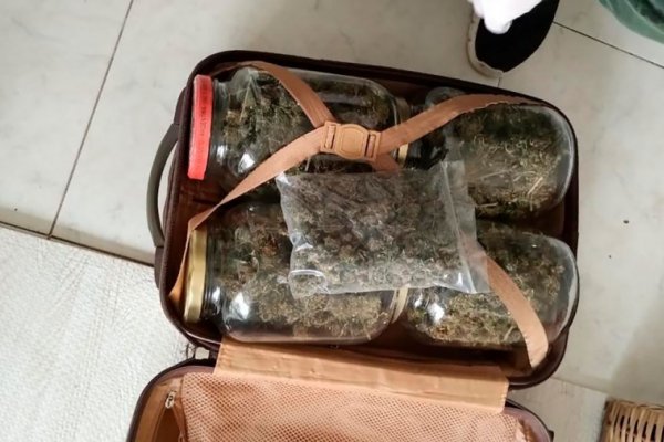 Golpe al narcotráfico: secuestraron drogas, armas y hasta un avioneta
