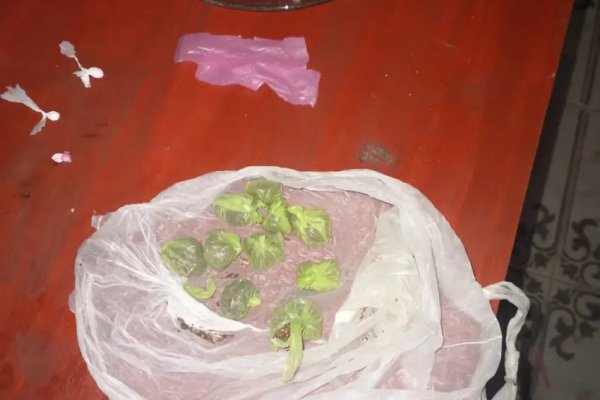 Detuvieron a un hombre con cocaína y marihuana