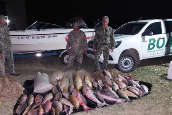 Impactante cantidad de dorados y sábalos secuestrados en un operativo en Corrientes