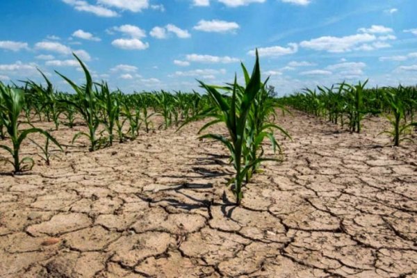 Cuáles son las zonas del mundo que serán inhabitables por las olas de calor