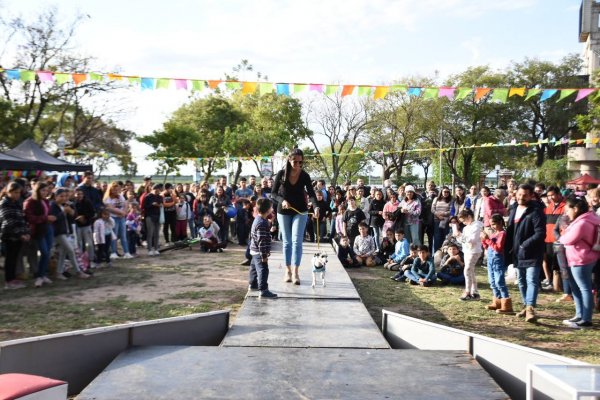 Presentaron el programa “Héroes mascoteros” para voluntarios que den tránsito a animales