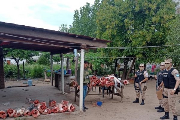 Prefectura secuestró más de 800 kilos de pescados en Corrientes