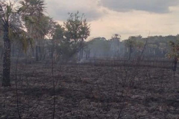 Corrientes: Se registró otro incendio en un Parque Provincial