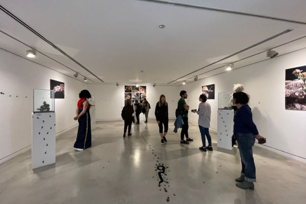 Casi diez mil personas visitaron en Córdoba muestra artística organizada por el museo correntino Ñande MAC